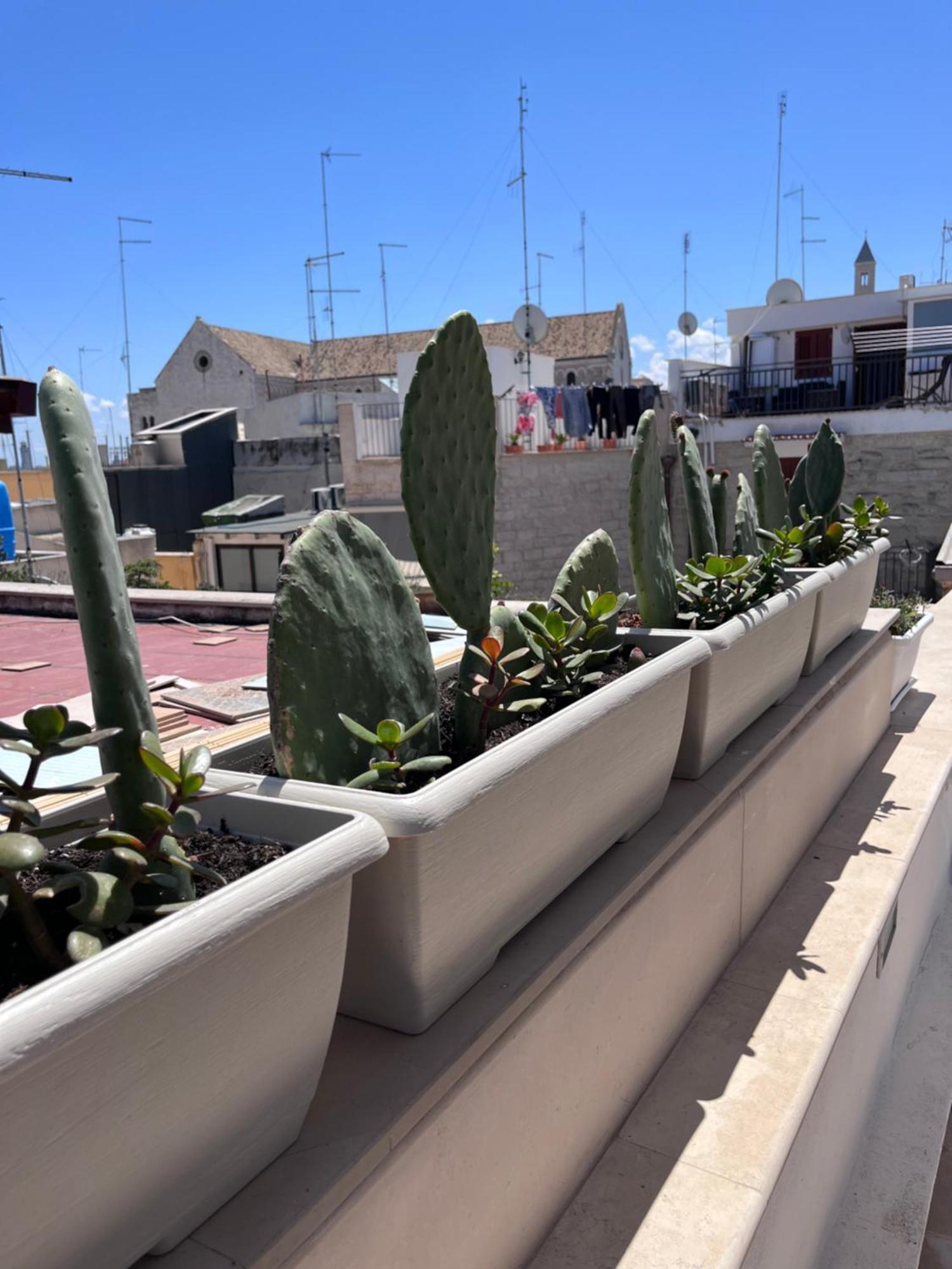 Casa Franca - Terracielo A Bari Vecchia Villa Екстериор снимка